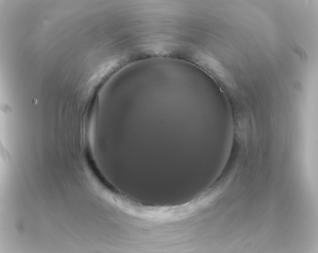 X0000091190023200708091257