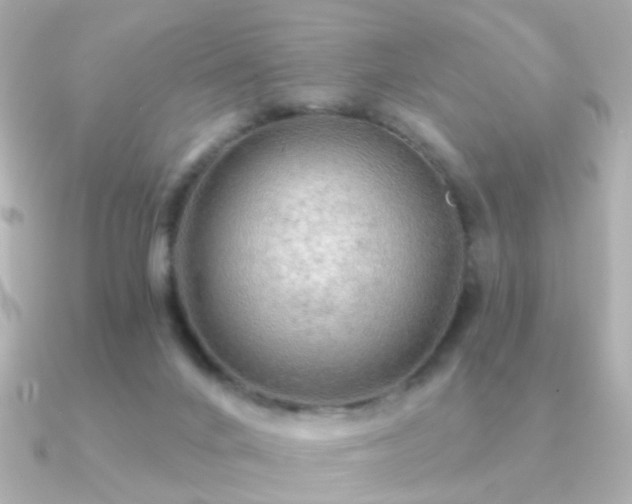 X0000091190024200708091257