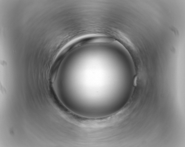 X0000091190025200708091257