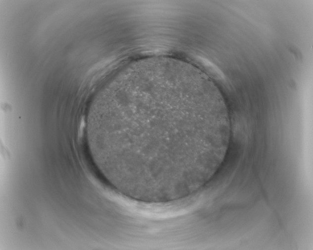 X0000091190026200708091257