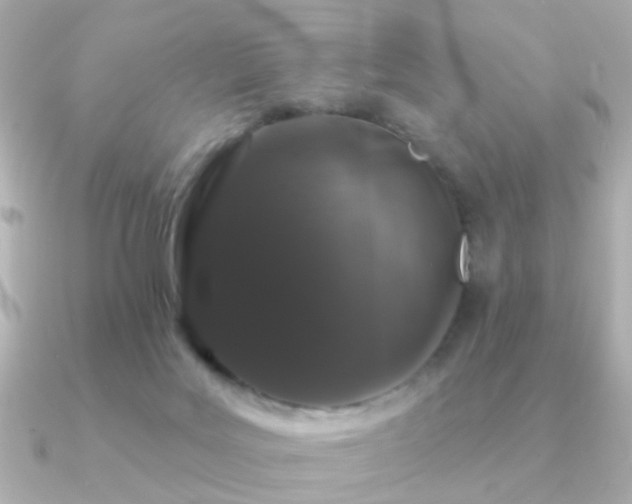 X0000091190027200708091257