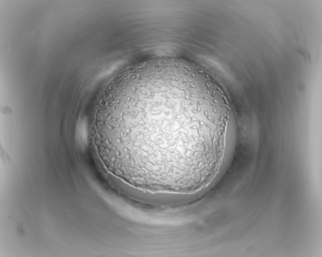 X0000091190028200708091257