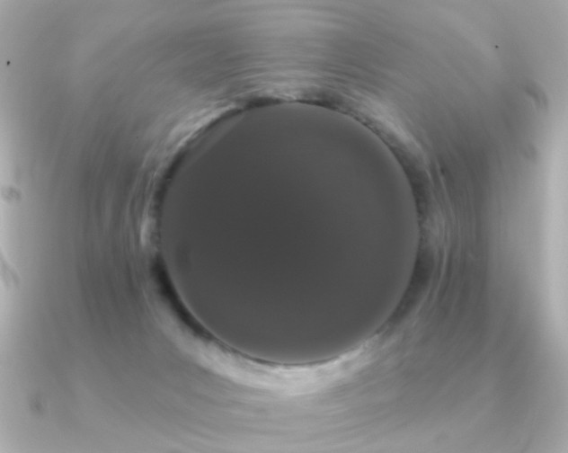X0000091190031200708091257