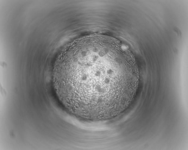 X0000091190032200708091257