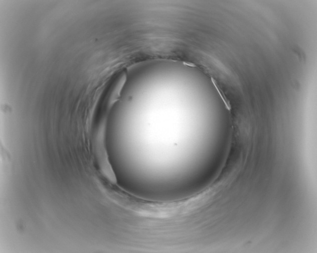 X0000091190033200708091257