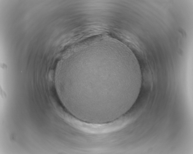 X0000091190034200708091257