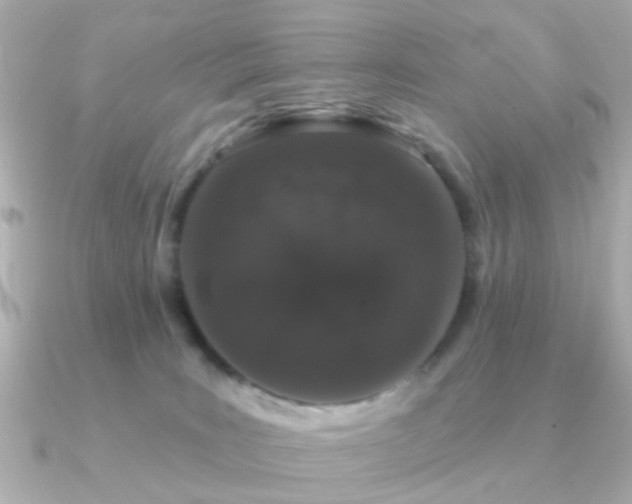 X0000091190035200708091257