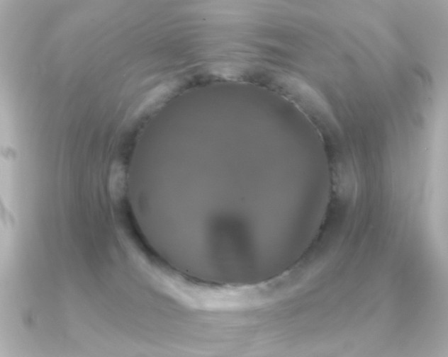 X0000091190036200708091257