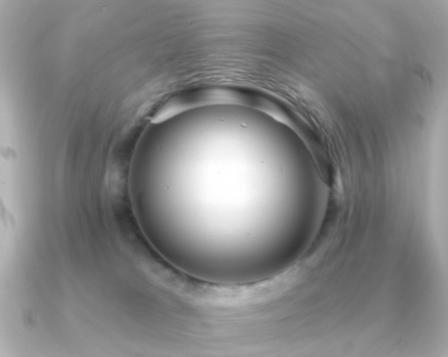 X0000091190037200708091257