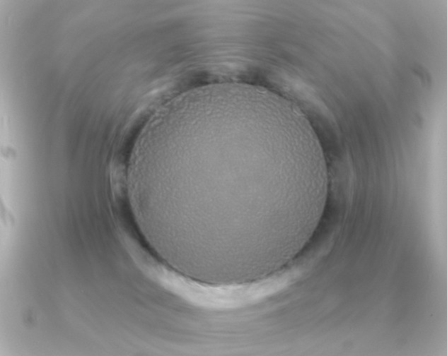 X0000091190038200708091257