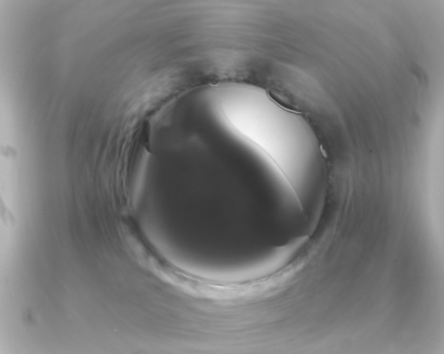 X0000091190039200708091257