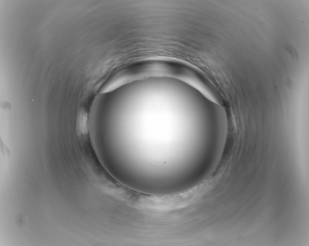 X0000091190041200708091257