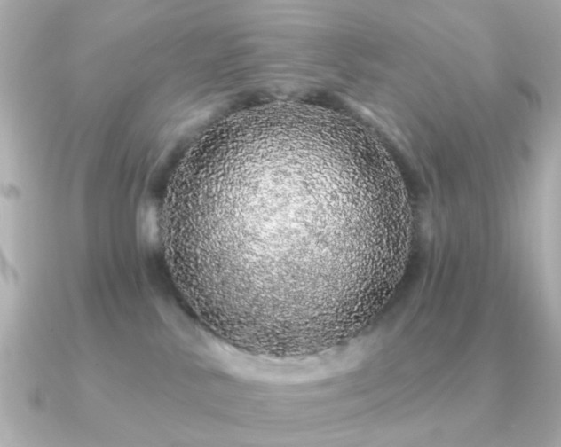 X0000091190042200708091257