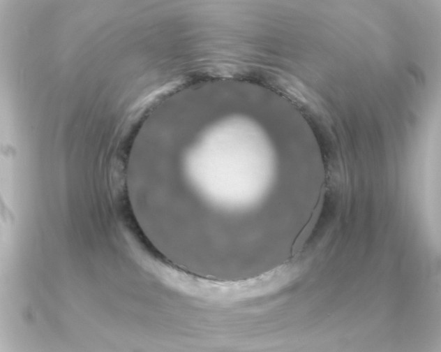 X0000091190043200708091257