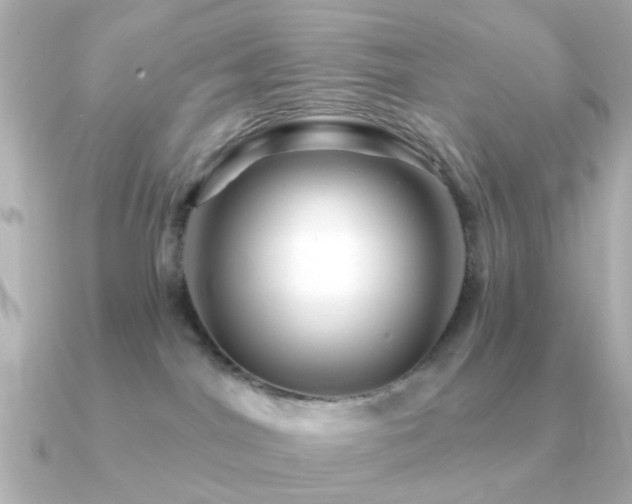 X0000091190044200708091257
