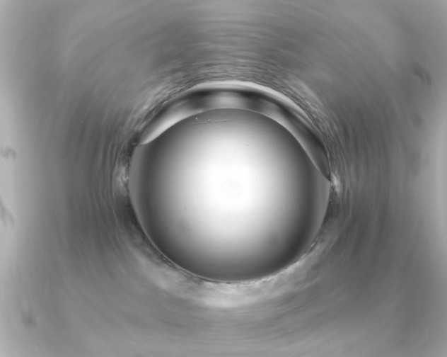 X0000091190045200708091257