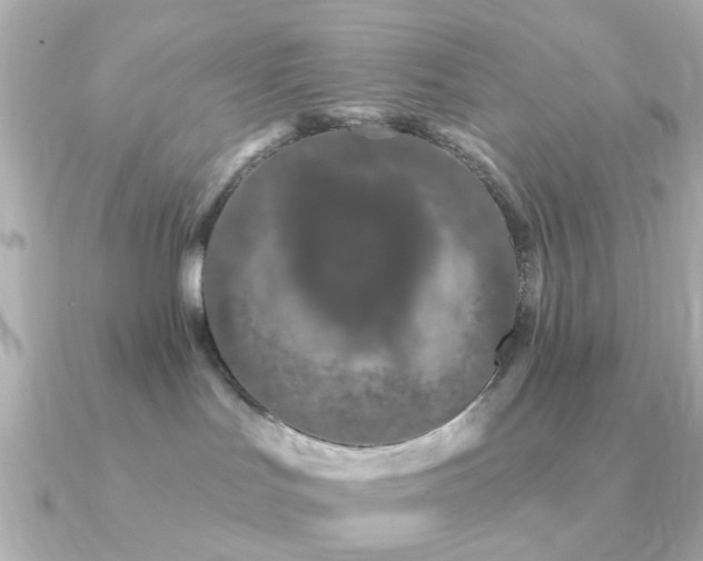 X0000091190047200708091257