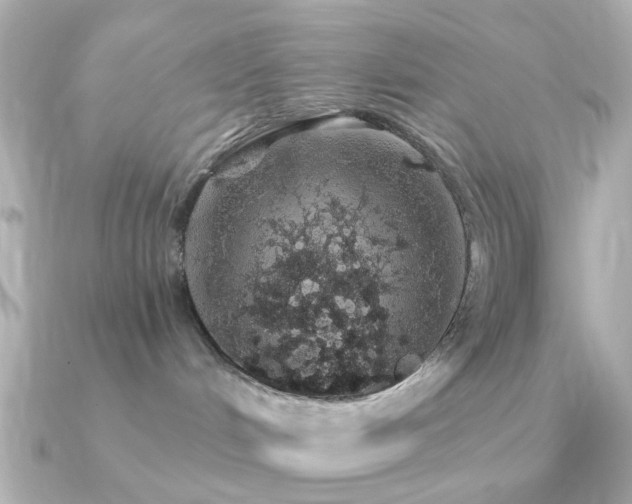 X0000091190048200708091257