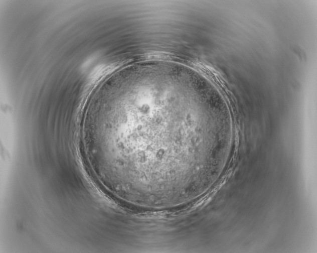 X0000091190049200708091256