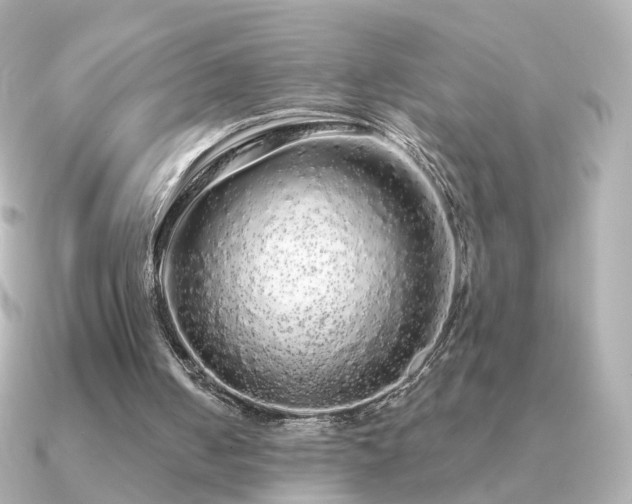 X0000091190050200708091256