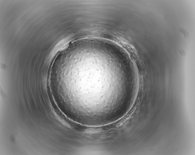 X0000091190051200708091256