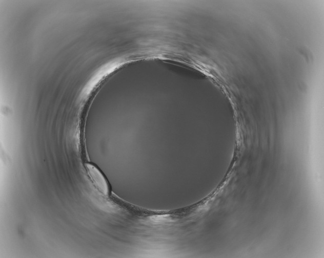 X0000091190054200708091256