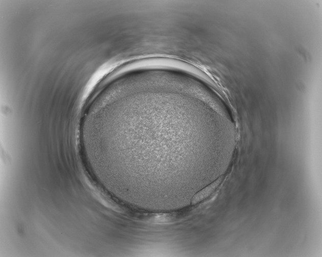 X0000091190056200708091256
