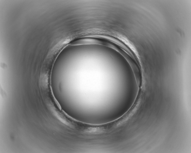 X0000091190057200708091256
