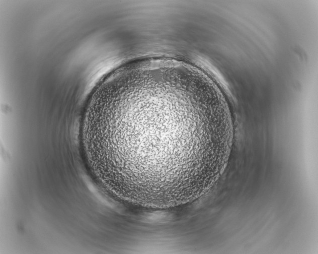 X0000091190058200708091256