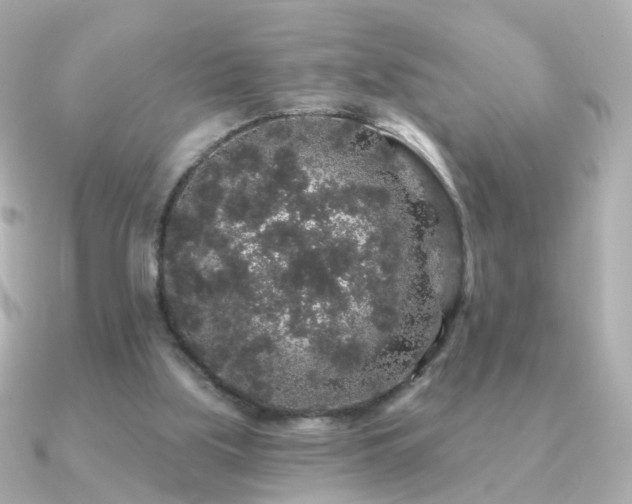X0000091190059200708091256