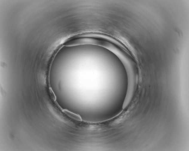 X0000091190060200708091256