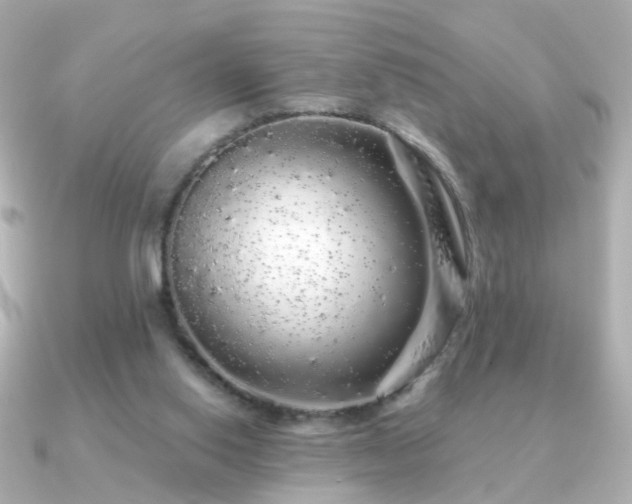 X0000091190062200708091256