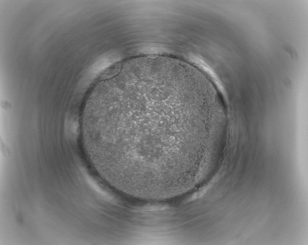 X0000091190063200708091256