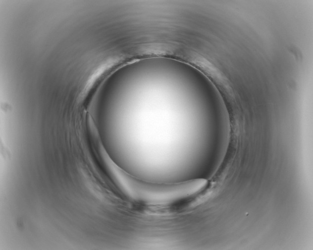X0000091190064200708091256