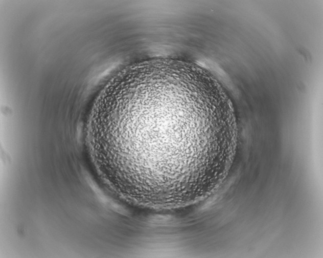 X0000091190066200708091256