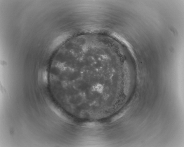 X0000091190067200708091257