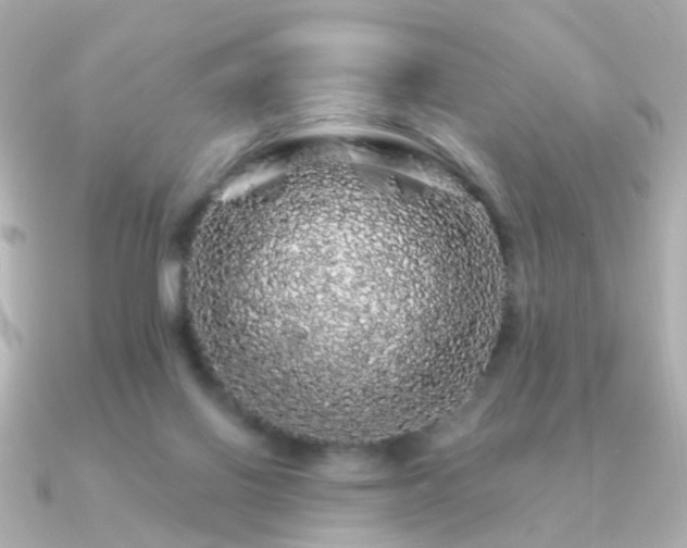 X0000091190070200708091257