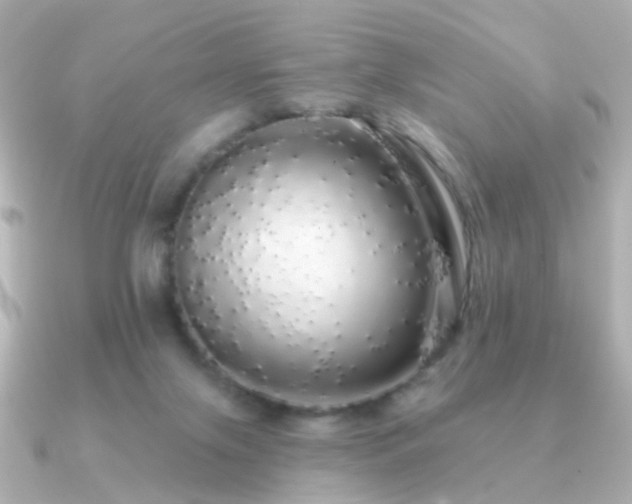X0000091190071200708091257