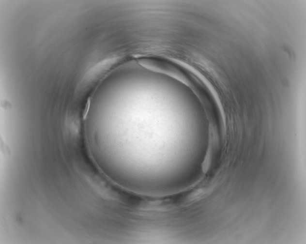 X0000091190072200708091257