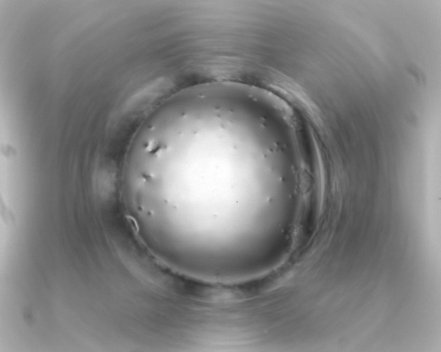 X0000091190073200708091257
