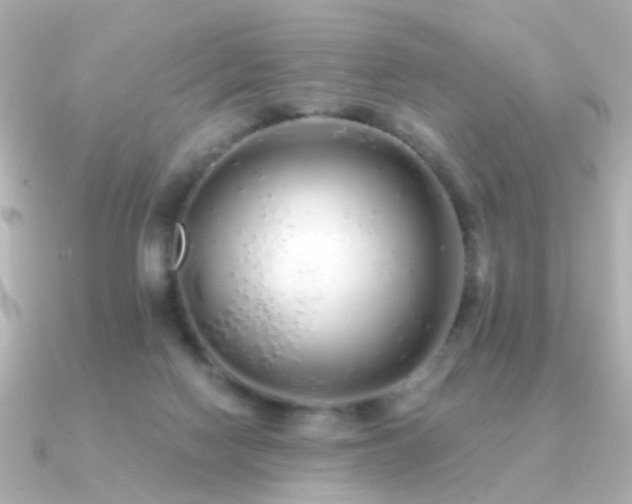 X0000091190074200708091257