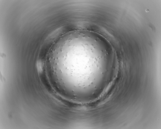 X0000091190075200708091257