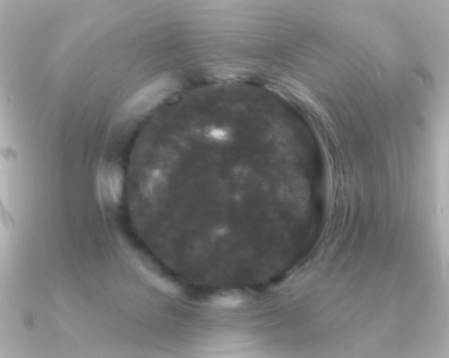 X0000091190076200708091257