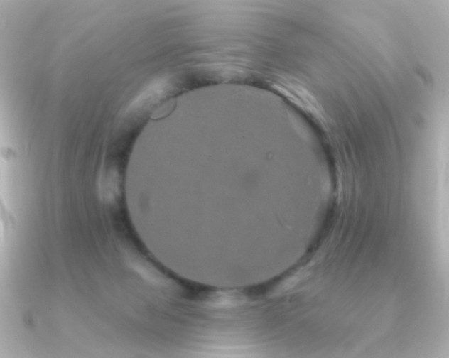 X0000091190077200708091257