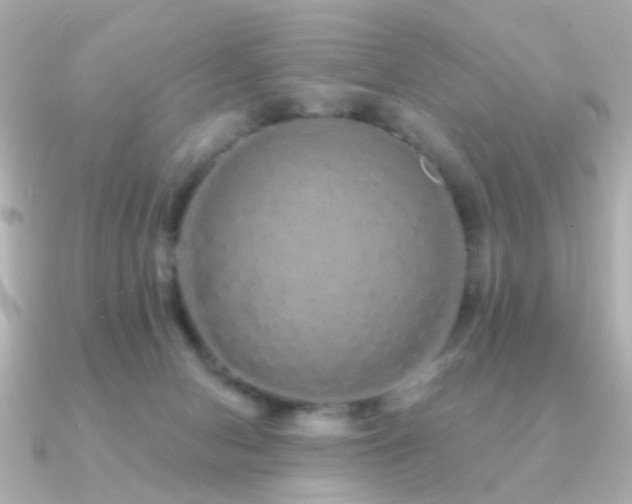X0000091190078200708091257