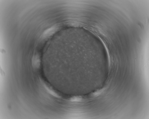 X0000091190080200708091257