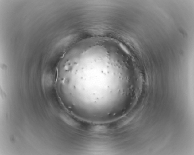 X0000091190081200708091257