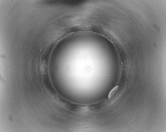 X0000091190083200708091257