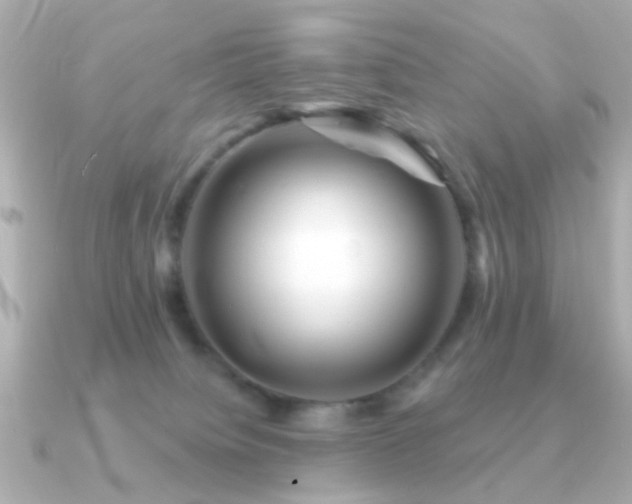 X0000091190084200708091257