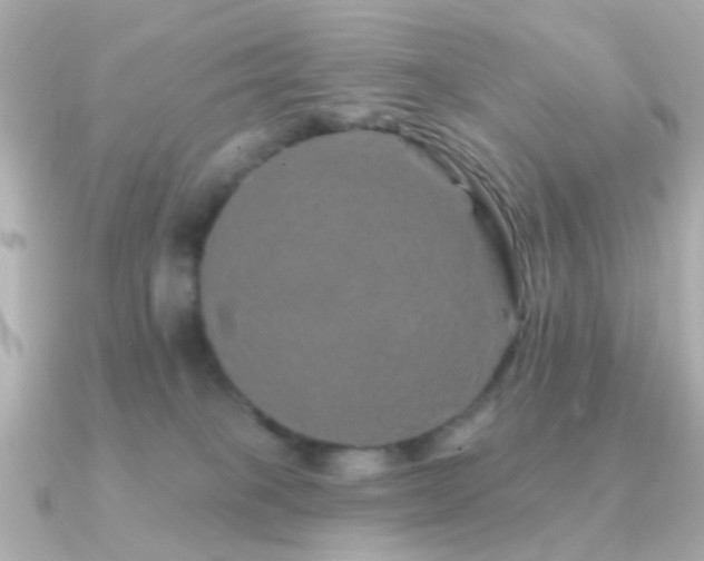 X0000091190085200708091257